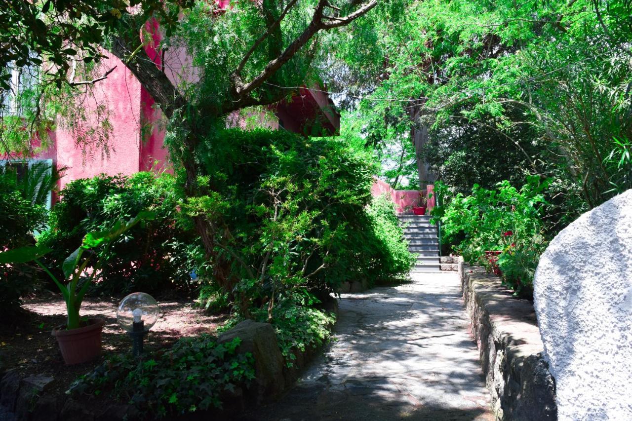Il Giardino Selvatico Di Succellario - Apartments Barano dʼIschia المظهر الخارجي الصورة