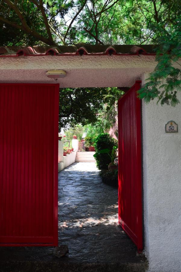 Il Giardino Selvatico Di Succellario - Apartments Barano dʼIschia المظهر الخارجي الصورة
