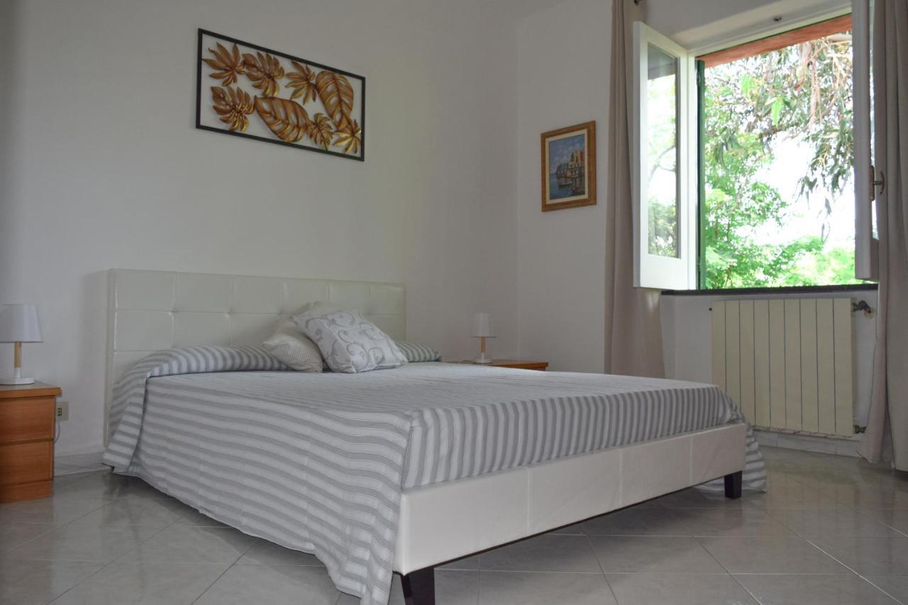 Il Giardino Selvatico Di Succellario - Apartments Barano dʼIschia المظهر الخارجي الصورة